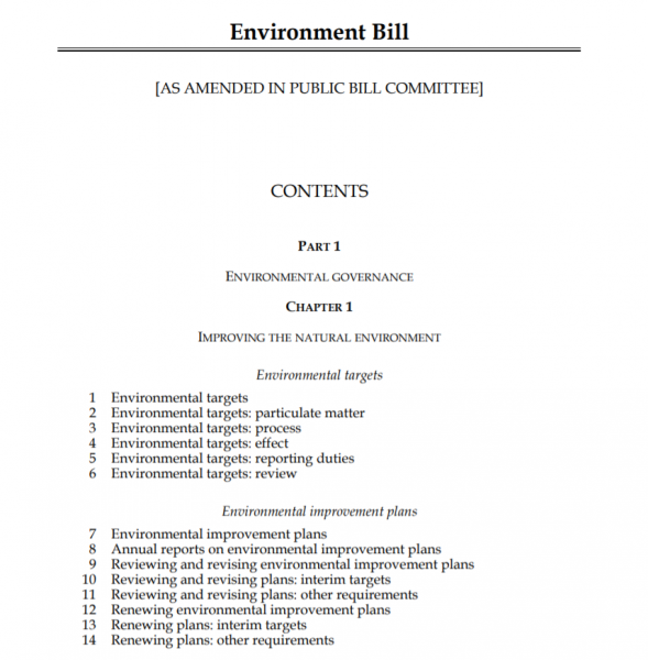 Environment Bill in slow progress